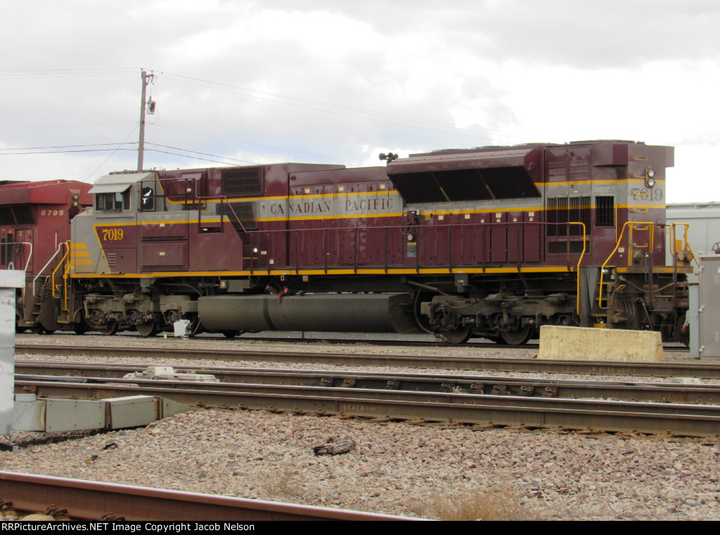 CP 7019